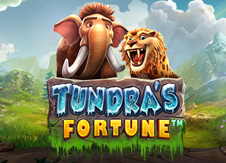 Tundras Fortune